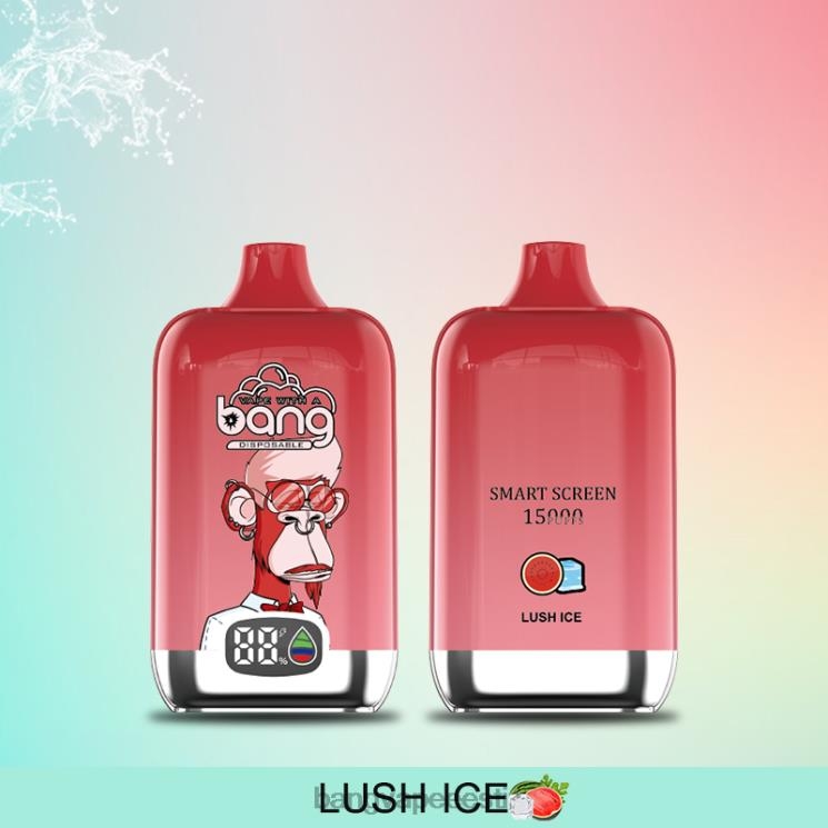 Bang Vape Digital Smart Screen 15000 pihustust 25ml ühekordselt kasutatavad 60J8J11 Bang Vape Eesti