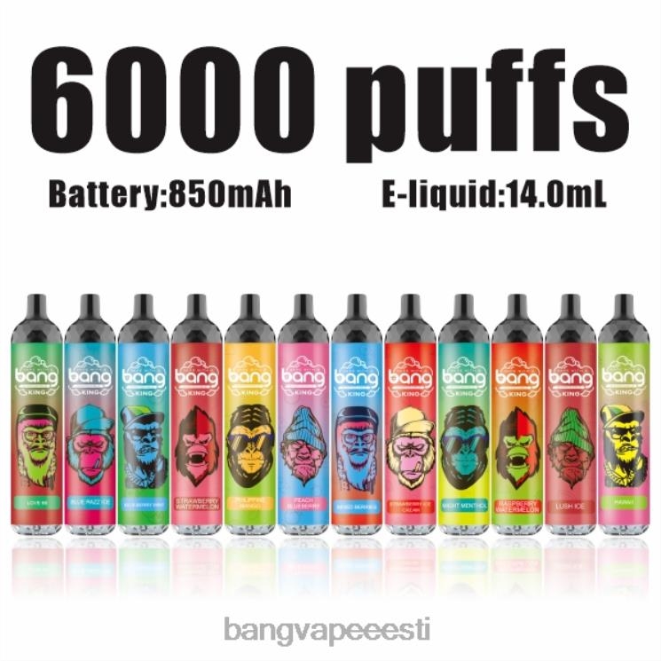 Bang Vape King 6000 pahvi 5% nic laetav tüüp-c ühekordselt kasutatavad 60J8J8 Bang Disposable Vape Flavors