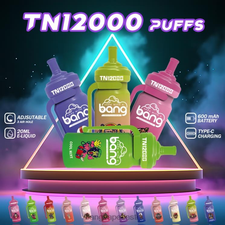 Bang Vape TN12000 kaun võrgusilma mähisega ühekordselt kasutatavad 60J8J5 Vape Gang Disposables