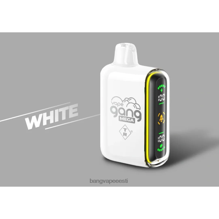 Vape Gang MEGA 20 000 ühekordset pahvi (5 tk) valge 60J8J60 Bang Disposable Vape Flavors
