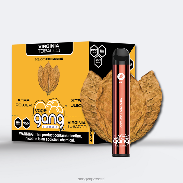 Vape Gang XL ühekordselt kasutatavad vapid 600 pahvi (karbis 10 tk) virginia tubakas 60J8J70 Bang Disposable Vape Flavors